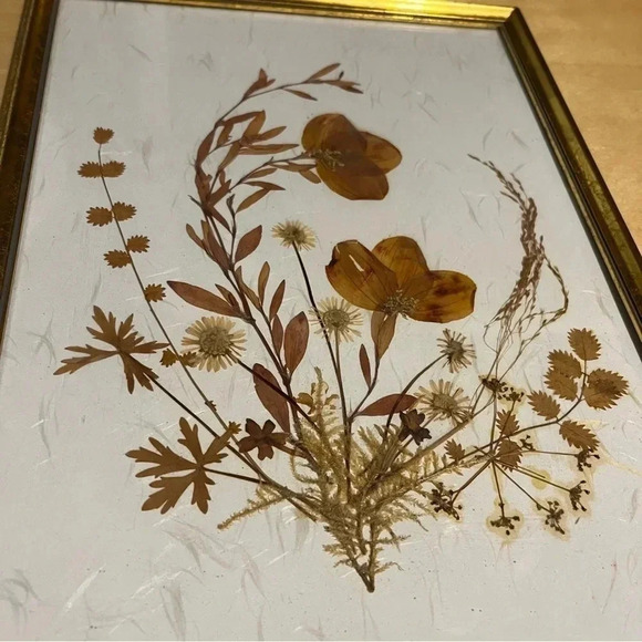 Vintage Framed Pressed Dried Flowers Boho Style Made W. Germany 9”x12” - Picture 2 of 7